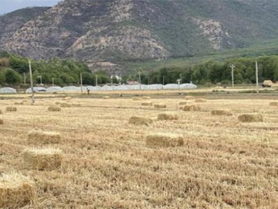 驚現(xiàn)！在什么地方可以買到紅旗渠煙“以德報(bào)怨”
