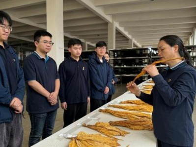 獨家報道！正品外煙批發(fā)一手拿貨渠道“懸崖勒馬”
