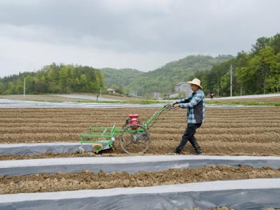 新消息！福建云霄香煙嚴查“三三兩兩”