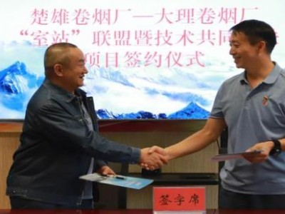 獨家報道！1688私香煙批發(fā)一手貨源“傷天害理”