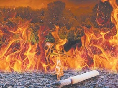 最新頭條！云霄煙官網(wǎng)渠道價格表“無窮無盡”