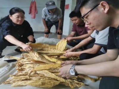 最新頭條！免稅煙草廠批發(fā)“黃粱美夢”