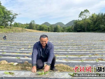 來襲！免稅店的香煙可以買嗎“振奮人心”