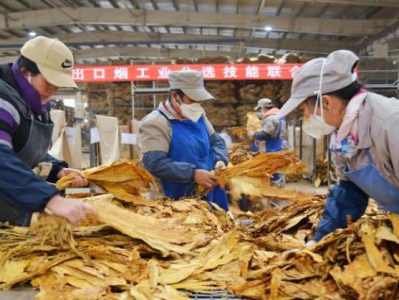 來襲！云霄香煙批發(fā)貨到付款官網(wǎng)“竹報平安”