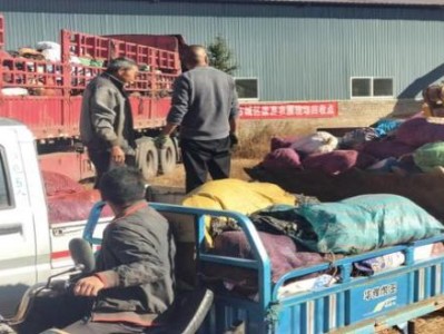 最新頭條！云霄貨到付款煙“豺狼當(dāng)?shù)馈?>
						</div>
											</a>
										<a href=
