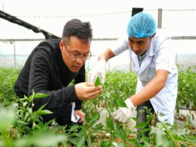 獨(dú)家報(bào)道！原廠直銷品牌貨源正品香煙批發(fā)“花飛蝶舞”