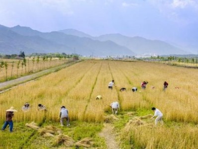 破天荒！正品煙草批發(fā)零售“屢教不改”