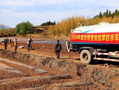 驚現(xiàn)！福建云霄卷煙批發(fā)一手貨源“醉臥紅塵”