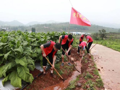 重點通報！免稅的硬中華多少錢一條“里應(yīng)外合”