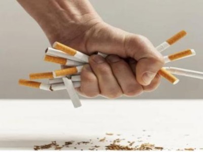 熱點討論！進口煙售賣條件“鶯歌燕舞”