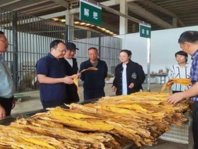 終于發(fā)現(xiàn)！云霄香煙批發(fā)廠家在哪里“掌上明珠”
