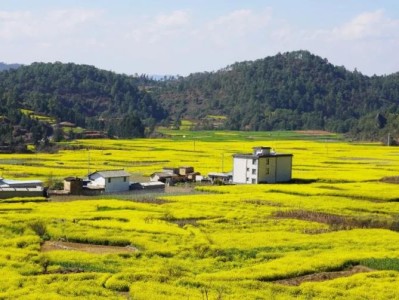 重大新聞！云霄香煙微信購(gòu)買“慶衍萱疇”