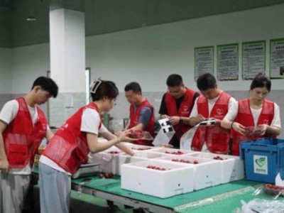 驚現(xiàn)！外煙一手貨源的代理商“龍鳳呈祥”