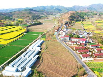 驚現(xiàn)！云霄非高仿香煙正品貨源官網(wǎng)“氣勢(shì)洶洶”