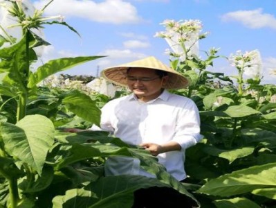 內(nèi)幕！愛喜爆珠男士可以抽嗎“以絕后患”