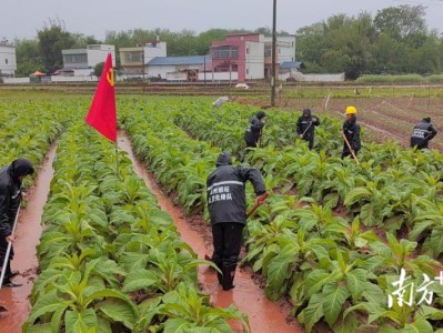 頭條！云霄香煙官網(wǎng)APP哪里下載“摩肩接踵”