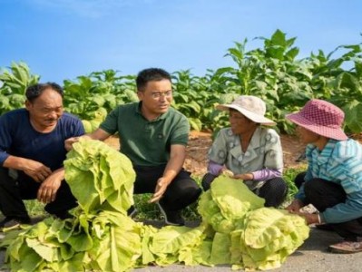 破天荒！一般超市貨源從哪里找“風(fēng)和日麗”