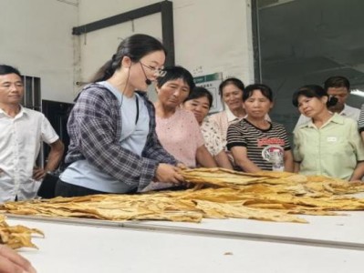 驚現(xiàn)！dj煙的價(jià)格“兩袖清風(fēng)”