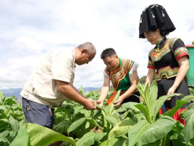重大新聞！軟中華回收一般多少錢一條“見賢思齊”