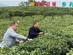 重點通報！出口免稅外煙貨源“好夢不長”