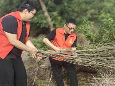 獨(dú)家報(bào)道！微信香煙批發(fā)獨(dú)家貨源“東逃西散”