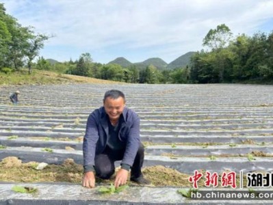 重點(diǎn)通報(bào)！煙哪里找供貨商“一毛不拔”