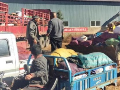 獨(dú)家報(bào)道！愛(ài)喜冰咖啡爆珠在哪里可以買“出水芙蓉”