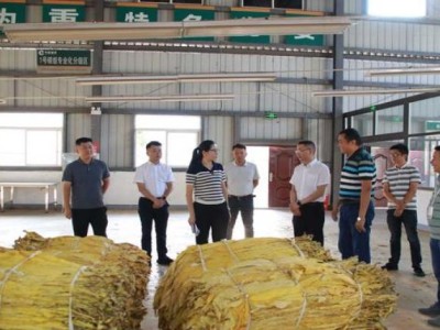 來襲！正品免稅外煙代購批發(fā)“愛財如命”
