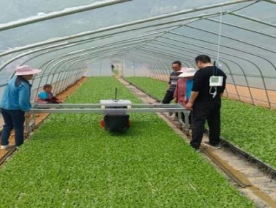 重大來襲！711免稅香煙批發(fā)貨到付款“蟾宮折掛”