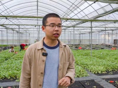 重大新聞！外煙在哪里買寶珠“九如之頌”