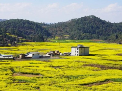 獨(dú)家報(bào)道！正品香煙代理進(jìn)貨源頭“防不勝防”