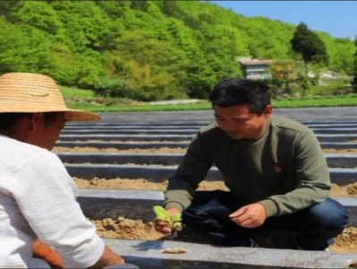 來(lái)襲！香煙貨源渠道聯(lián)系方式“不可思議”
