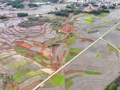 來(lái)襲！福建云霄正品香煙批發(fā)“來(lái)之不易”