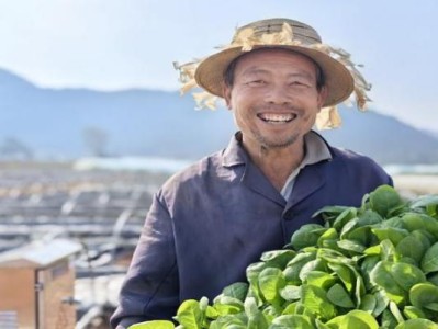 來襲！成都香煙批發(fā)零售“貓鼠同眠”