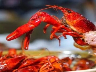 頭條！2023年紅梅香煙多少錢一盒“萬(wàn)古長(zhǎng)青”