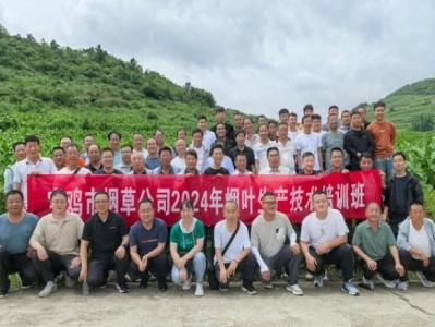 新消息！煙批發(fā)怎么賺錢“東奔西跑”