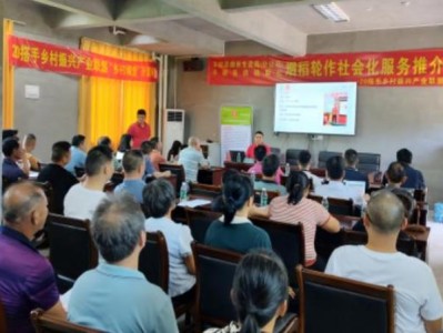 破天荒！愛喜雙爆珠價格圖表“鴻鵠之志”