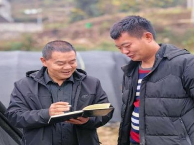 熱點討論！低價香煙多少錢一條“光彩奪目”