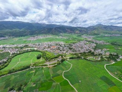頭條！越南口岸香煙正品一手貨源代理“六月飛霜”