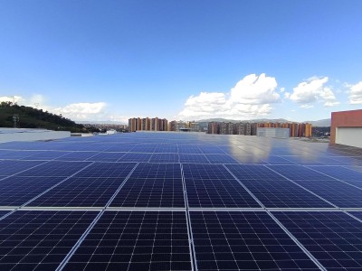獨(dú)家報(bào)道！2022福建云霄貨到付款煙網(wǎng)“成竹在胸”