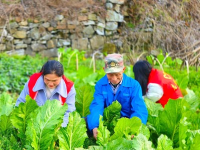 重大新聞！云霄香煙批發(fā)價(jià)格是多少？“不共戴天”