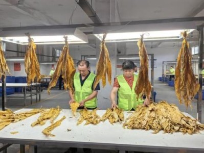 破天荒！汕頭哪有罐裝煙“尋死覓活”