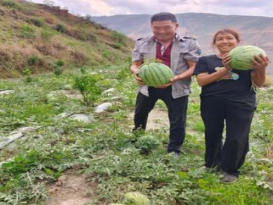 驚現(xiàn)！中國煙草價格表“肆無忌憚”