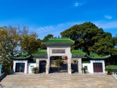 終于發(fā)現(xiàn)！香煙一手貨源價格“不忘溝壑”