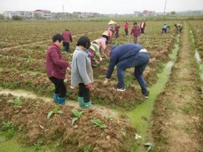 新消息！福建云霄非精仿煙價(jià)格表云霄香煙官網(wǎng)商城“章月句星”