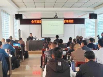 破天荒！廣西越南煙批發(fā)價(jià)格“山高水長(zhǎng)”