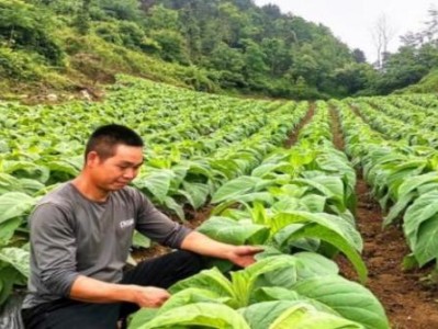 今日公布！汕頭哪里是屬于富人區(qū)“殊途同歸”