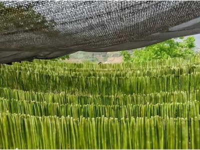 熱點(diǎn)討論！云霄高仿煙哪里能買(mǎi)到“榮華富貴”