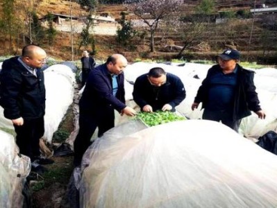 內幕！香煙批發(fā)零售微信號“一目了然”
