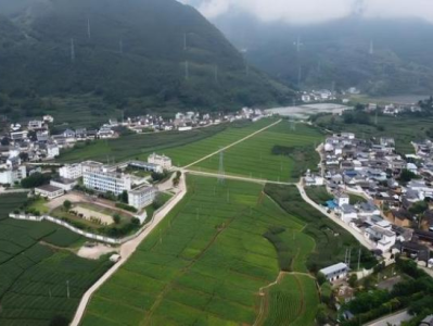 重大新聞！云霄香煙批發(fā)廠家直銷貨源“劈頭蓋臉”